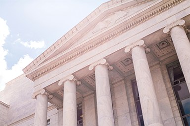 Government and regulation sector